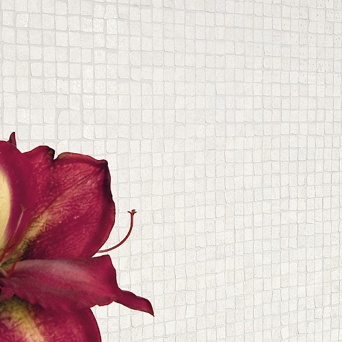 Provenza QStone Minimal Gres keramičke pločice uređenje